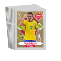 Santa Catarina Politica Sticker by Gabrielzinho