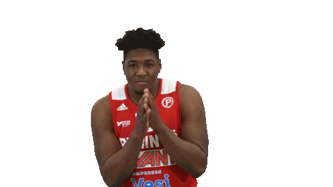 Basketball Hoops Sticker by Basket_fi