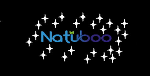 Natuboo giphygifmaker giphyattribution toothbrush bamboo GIF