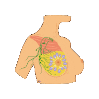 revmed study student cancer medicine Sticker