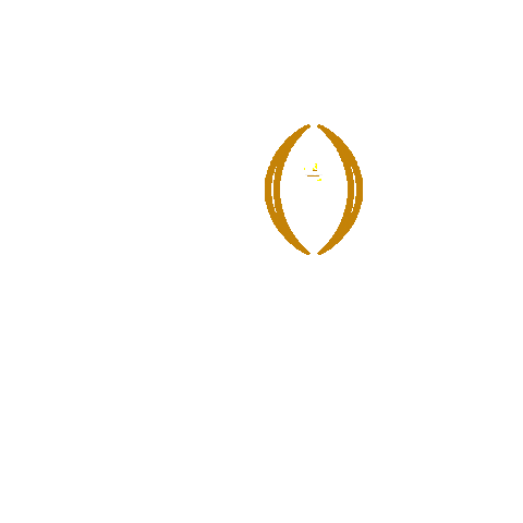 Espn Ncaa Sticker by College Football Playoff
