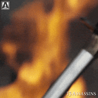 Angry Takashi Miike GIF by Arrow Video