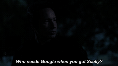 scully mulder GIF by The X-Files