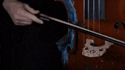 Music Video Party GIF by Casanova Records