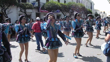 nekoshicesar giphyupload GIF