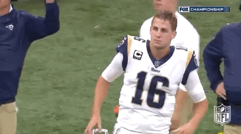 2018 Nfl Football GIF by NFL
