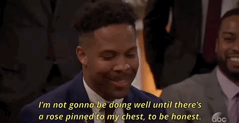 episode 1 premiere GIF by The Bachelorette