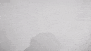 Iowa Hawkeyes Basketball GIF by University of Iowa Hawkeyes Athletics