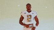 Georgia Tech Football Sport GIF by Georgia Tech Yellow Jackets