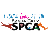 Rescue Adopt Sticker by HeARTs Speak