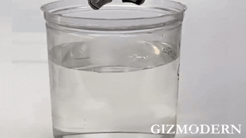 GizModern giphyupload GIF
