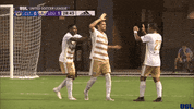 happy louisville city GIF by USL