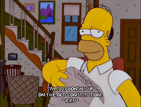 homer simpson GIF