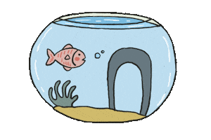 Aquarium Bloop Sticker by cypru55