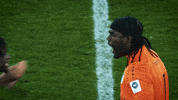 Football Win GIF by FC St.Gallen 1879