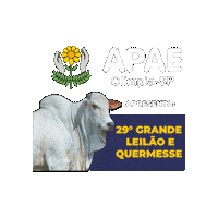 Sticker by Apae de Olímpia