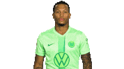 Happy Football Sticker by VfL Wolfsburg