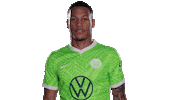 Check This Out Look Here Sticker by VfL Wolfsburg