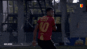 yrkvmechelen scream miss aster kvm GIF