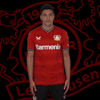 Confused No Idea GIF by Bayer 04 Leverkusen