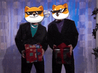 Fun Money GIF by Baby Doge Coin