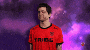 Who Knows Idk GIF by Tribe Gaming