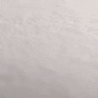 london artist GIF by Alex Evans Art