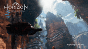 Picture Perfect Photo GIF by Guerrilla