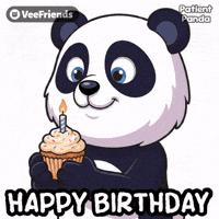 Happy Birthday Panda GIF by VeeFriends