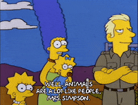 season 5 GIF