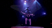 Sexy Spin GIF by Spiegelworld
