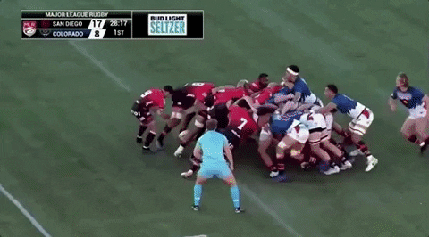 sammytuitalifalinoaa giphyupload GIF