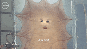 Ask Not David Tennant GIF by Doctor Who
