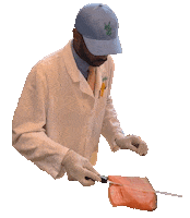 fish cut Sticker by Major Food Group