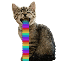 Cat Rainbow Sticker