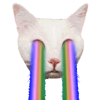 Rainbow Cats Sticker