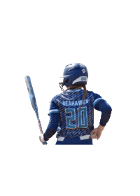Collegesoftball Sticker by UNCW Softball