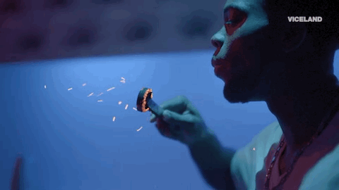 viceland GIF by Payday