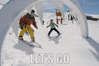 SkiBro skiing skibro GIF