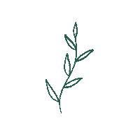 Cassievoncat nature green plant simple Sticker