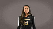 Volleyball Calstatela GIF by Cal State LA Golden Eagles
