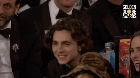 timothee chalamet GIF by Golden Globes