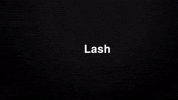 2hdlashes lashes eyelashes lashmaker lashshampoo GIF