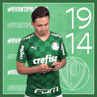 Raphael Veiga Soccer GIF by SE Palmeiras