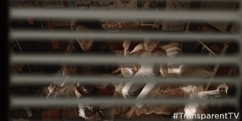 season 3 GIF by Transparent