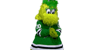 Sassy Dallas Stars GIF by NHL