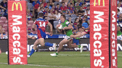 Rugby League Nrl GIF by Canberra Raiders