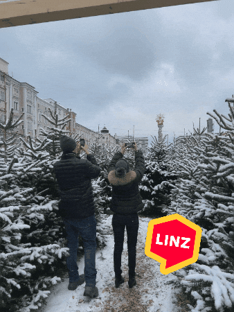 suche arbeit in linz