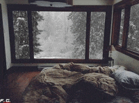 afternoon GIF