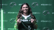 Softball GIF by RiverHawk Sports